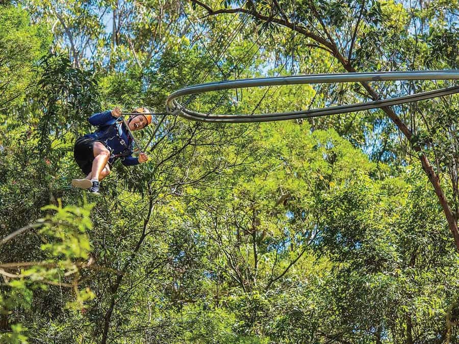 Ourimbah: Central Coast Zipcoaster - Meeting at Treetops Adventure: what your 3-minute window depends on