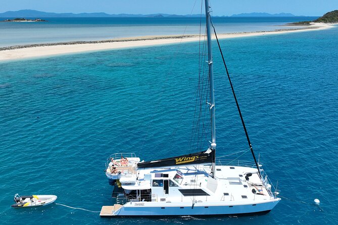 Outer Great Barrier Reef Snorkel Adventure in Airlie Beach - Stop Two (Arrive Around 12:00pm, Snorkel 12:00pm–2:00pm): More Variety, More Chances