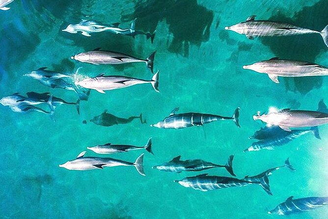 Outer Reef Odyssey - 40 minute Reef Scenic Flight - Key things to know before you go