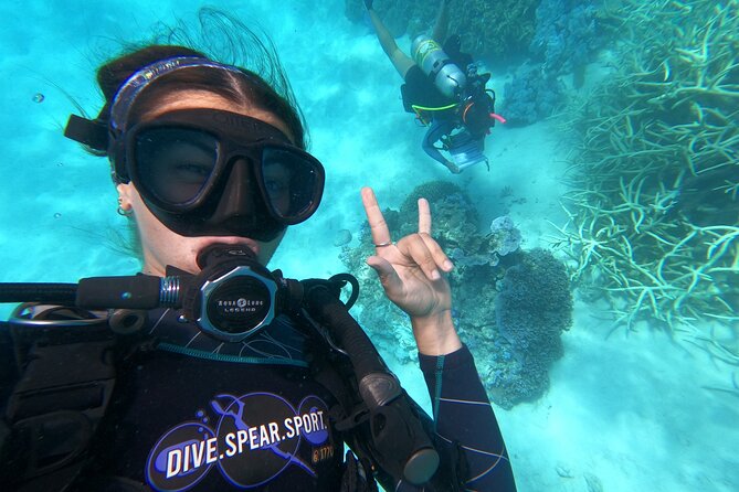 Outer Reef Scuba Diving Day Tour from Agnes Water 1770 - Key highlights you’ll actually care about
