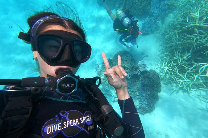 Outer Reef Scuba Diving Day Tour from Agnes Water 1770 - Gear, comfort, and the practical stuff that makes photos easier