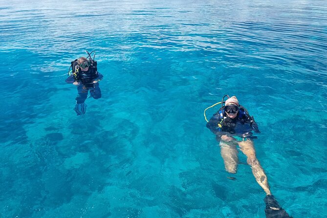 Outer Reef Scuba Diving Day Tour from Agnes Water 1770 - Eye on the Reef: how the optional science makes the day feel more meaningful