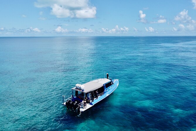Outer Reef Scuba Diving Day Tour from Agnes Water 1770 - Price and value: is $307.70 for a day on two reef areas fair?