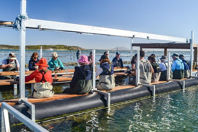 Oyster Farm Tour with Hotel Pick-up and return from Port Lincoln - Key Things to Know Before You Go