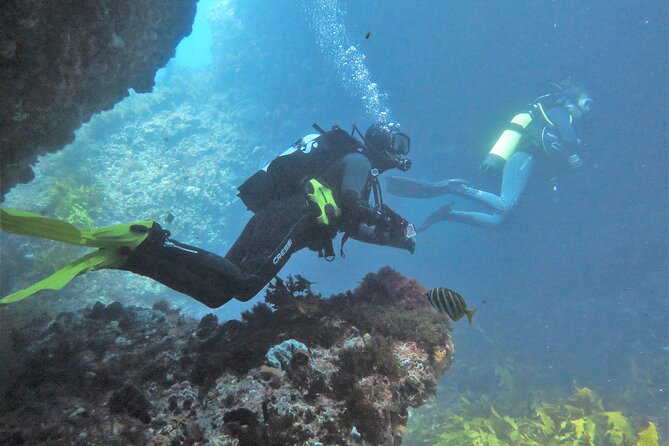 PADI Open Water Course - Your best strategy before you arrive