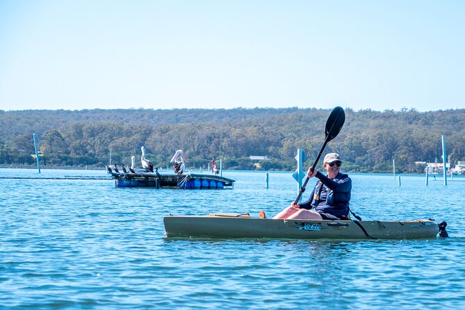 Pambula River Kayaking Tour - The Beowa National Park Connection You’ll Actually Care About