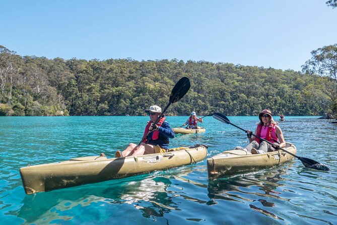 Pambula River Kayaking Tour - Wildlife Spotting: Pelicans, Herons, Sea Eagles, and More