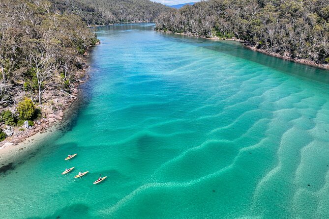 Pambula River Kayaking Tour - Oyster Farming Stories and River Culture
