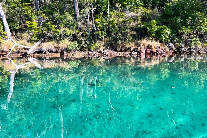Pambula River Kayaking Tour - Small Group Size (Max 12) and Beginner Confidence