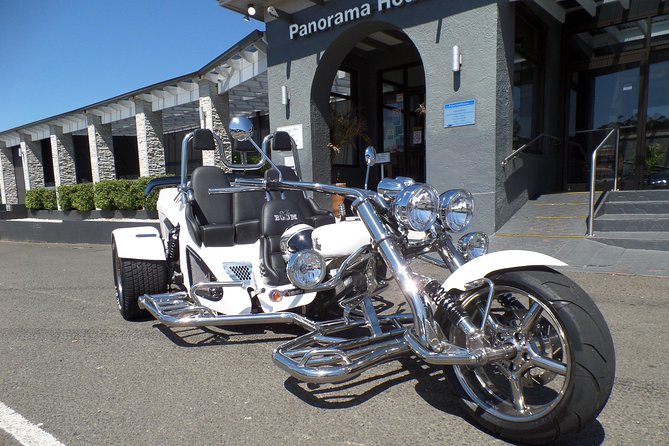 Panorama House Luncheon Trike Tour - What the guide and safety setup really mean for you
