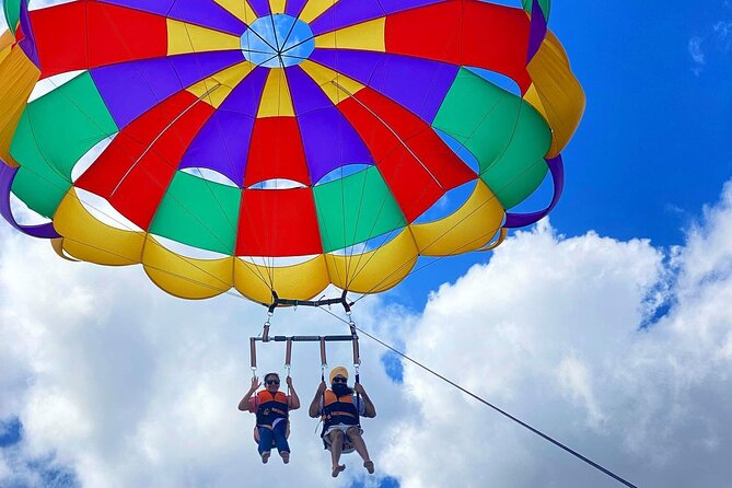 Parasailing on the Gold Coast, Fly solo, Tandem or Triple - Wildlife spotting: the dolphins, turtles, and dugongs factor