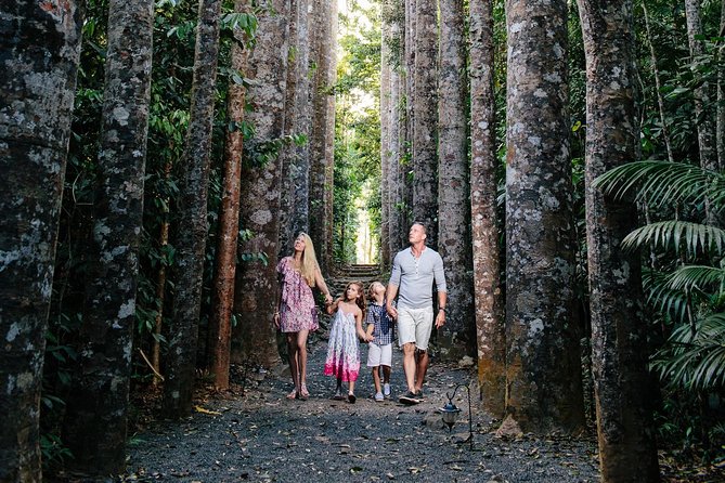Paronella Park and Millaa Millaa Falls Full-day Tour from Cairns - A car-free way to hit the Atherton Tablelands highlights