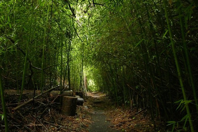 Paronella Park and Millaa Millaa Falls Full-day Tour from Cairns - Innisfail: a quick taste of Art Deco town life