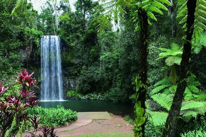 Paronella Park and Millaa Millaa Falls Full-day Tour from Cairns - What to pack for a comfortable rainforest day