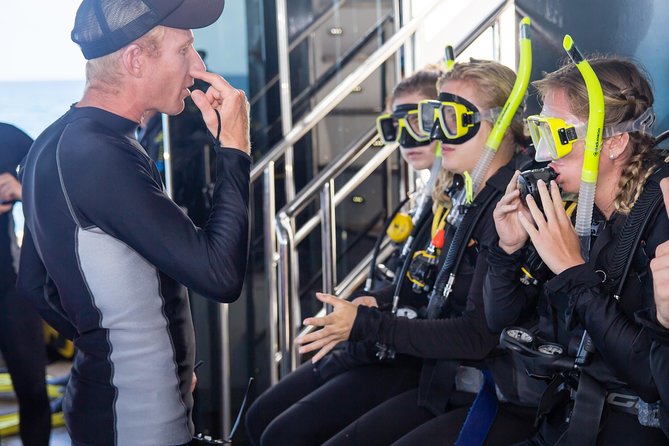 Passions of Paradise Great Barrier Reef Cruise by Catamaran - Lunch, snacks, and keeping energy up on a long reef day