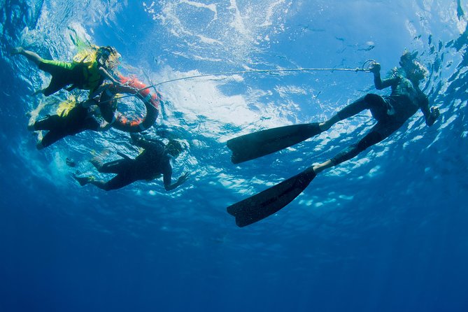 Passions of Paradise Great Barrier Reef Cruise by Catamaran - Reef talk onboard: learning that improves what you see