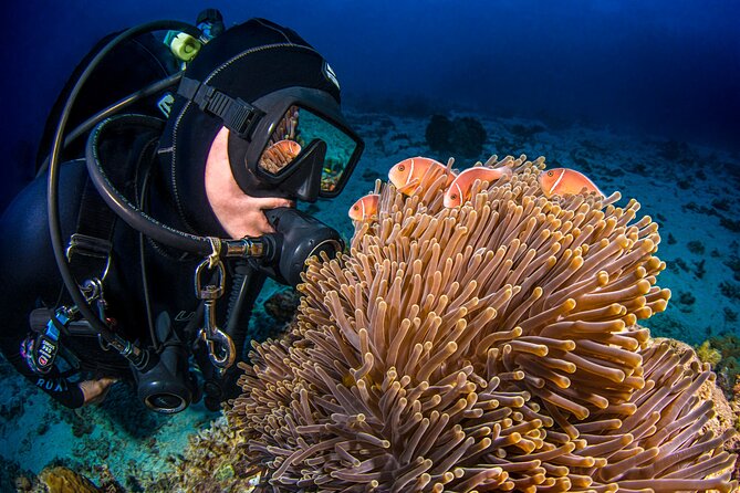 Passions of Paradise Great Barrier Reef Cruise by Catamaran - Price and value for around $192.94 per person