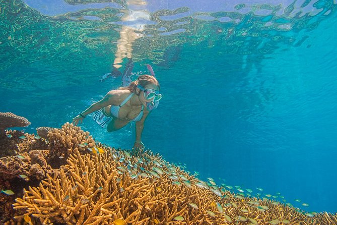 Passions of Paradise Great Barrier Reef Cruise by Catamaran - Who this 9-hour catamaran reef day is best for