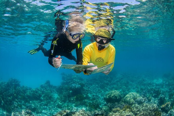 Passions of Paradise Great Barrier Reef Cruise by Catamaran - Two Outer Reef locations: why weather drives the whole schedule