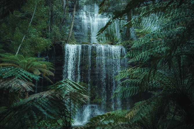 Peaks, Falls & Furry Locals: Mt. Field & the Derwent - Key points at a glance