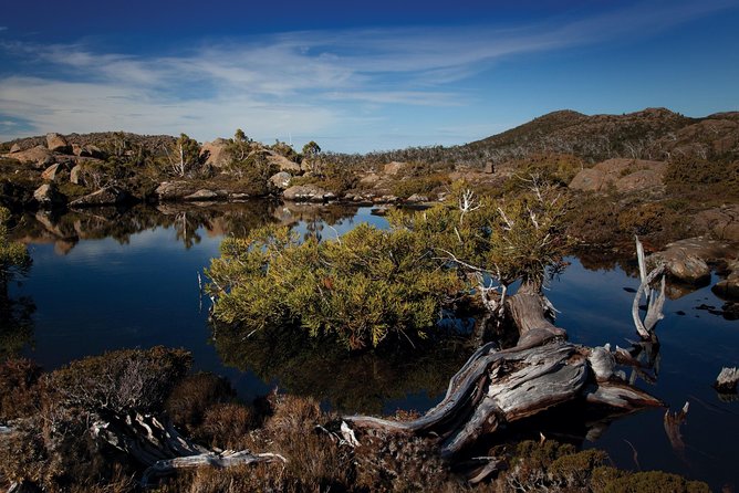 Peaks, Falls & Furry Locals: Mt. Field & the Derwent - Walking in rainforest: what your guide can change about the experience