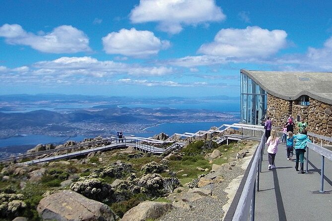 Peaks, Falls & Furry Locals: Mt. Field & the Derwent - Who this tour suits best