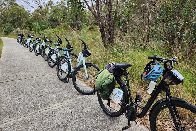 Pedals & Petals - Discovering Wildflowers Bike Tour Kings Park - Price and value: is $49.49 worth it for 2 hours?