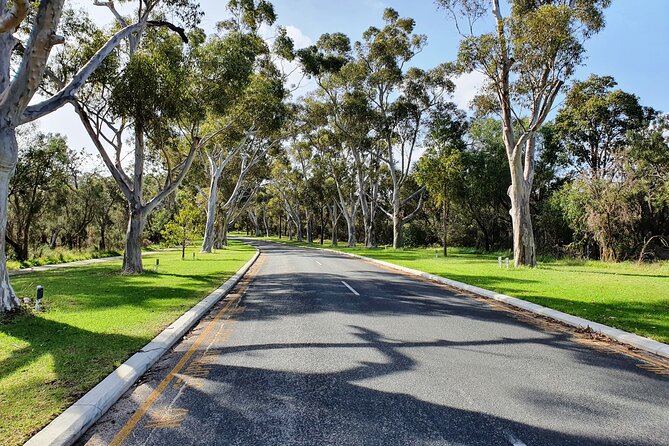 Pedals & Petals - Discovering Wildflowers Bike Tour Kings Park - The Kings Park bushland route: flat enough to enjoy, wild enough to feel real