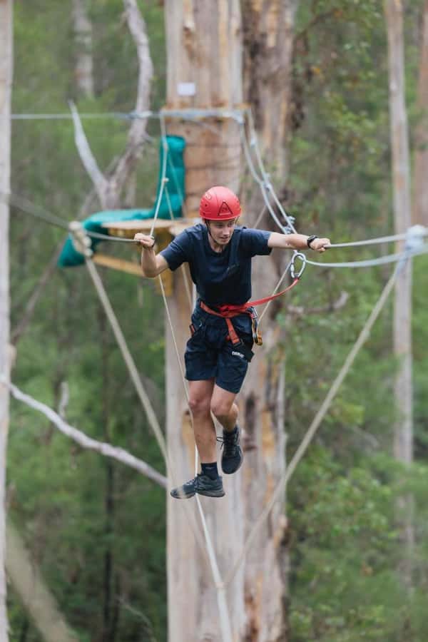 Pemberton: 2.5h Ultimate Ziplines & High Ropes Experience - High ropes with 50+ games: challenge, balance, and moving at your pace