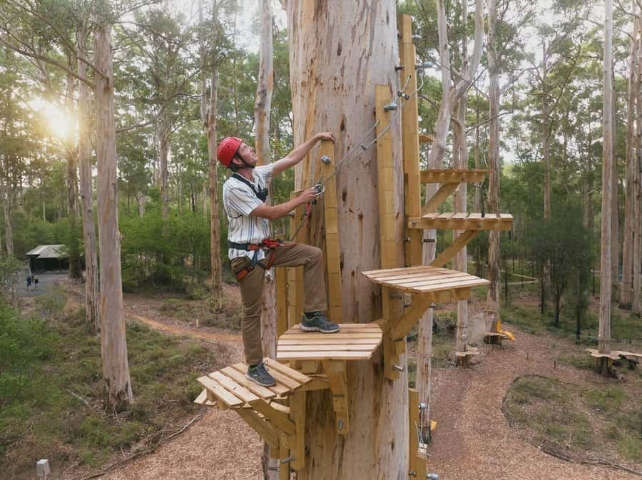 Pemberton: 2.5h Ultimate Ziplines & High Ropes Experience - Safety without killing the fun: gear, briefings, and real limits