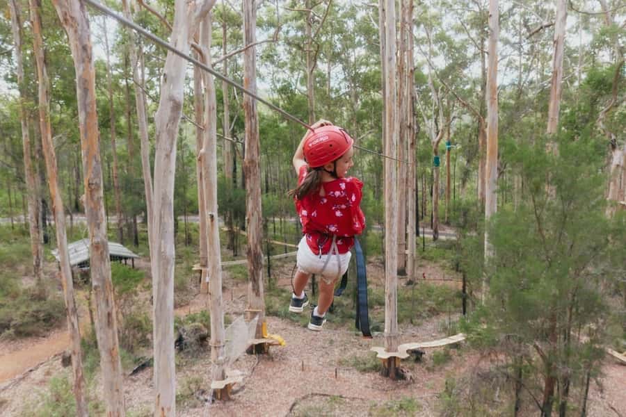 Pemberton: 2.5h Ultimate Ziplines & High Ropes Experience - Timing and the Gloucester Tree meeting point: how to get there smoothly