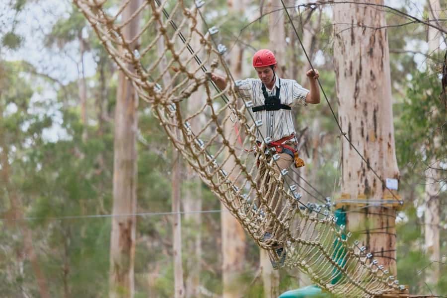 Pemberton: 2.5h Ultimate Ziplines & High Ropes Experience - Gloucester National Park and the karri-tree setting that changes the whole vibe
