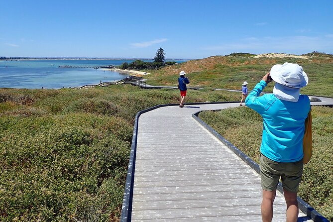 Penguin and Seal Islands Sea Kayaking Experience - Sea Kayaking to Two Islands from Perth: Why This Trip Feels Different