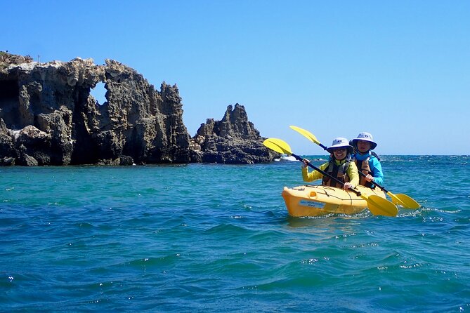 Penguin and Seal Islands Sea Kayaking Experience - The 8:00 AM Flow: What Your 6-Hour Day Looks Like