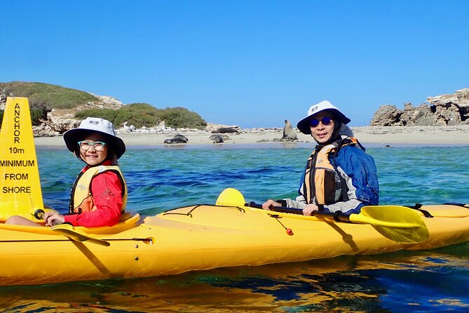 Penguin and Seal Islands Sea Kayaking Experience - Who This Tour Is Best For (And Who Might Want a Backup Plan)