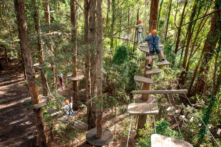 Pennant Hills: Tree Ropes Course Session - Key highlights to know before you book