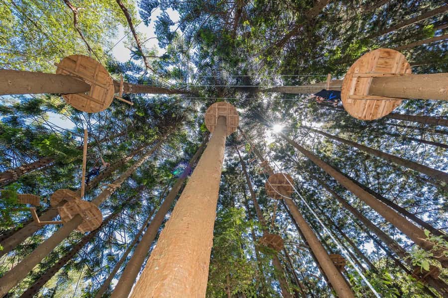 Pennant Hills: Tree Ropes Course Session - Safety briefing and gear: what you can count on