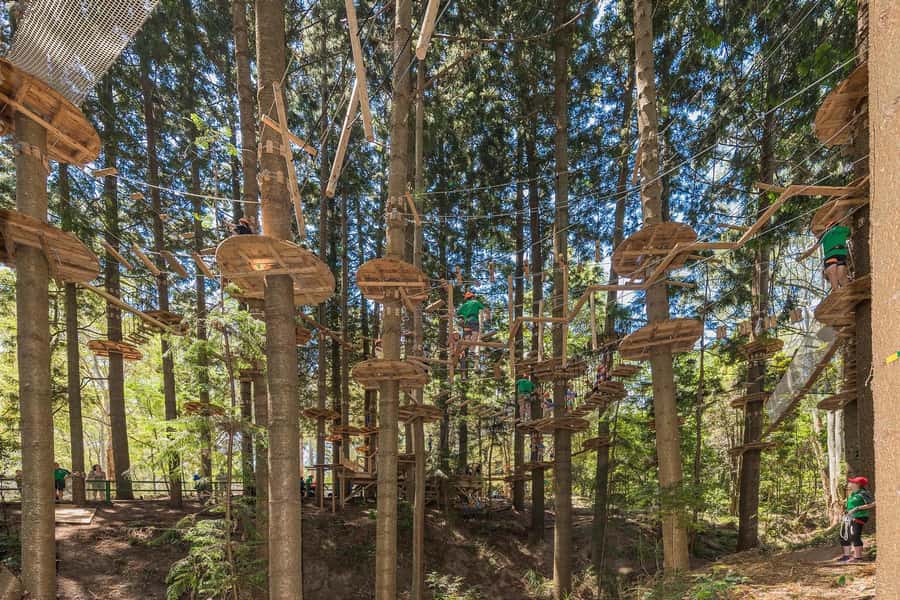Pennant Hills: Tree Ropes Course Session - How the 150 minutes usually runs (timing and where you start)