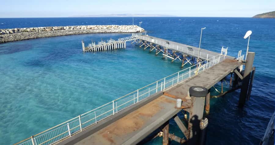 Penneshaw: Shore Excursion Kangaroo Island Scenic Tour - Value check: why $162 can be fair for a cruise-linked wildlife day