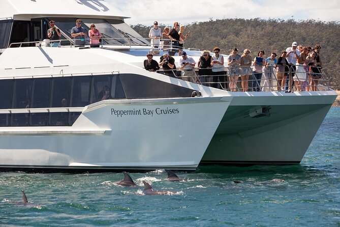 Peppermint Bay Cruise & Lunch - A Derwent River Day That Actually Feels Like a Break