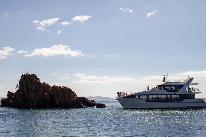 Peppermint Bay Cruise & Lunch - Catamaran Comfort from Hobart to the D’Entrecasteaux Channel