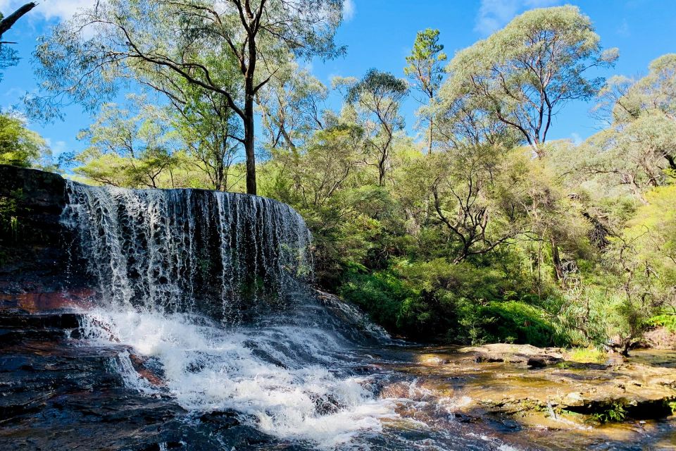 Personalised Blue Mountains Tour: Luxury Vehicles & Insights - Featherdale Wildlife Park: Koalas Up Close Without the Chaos