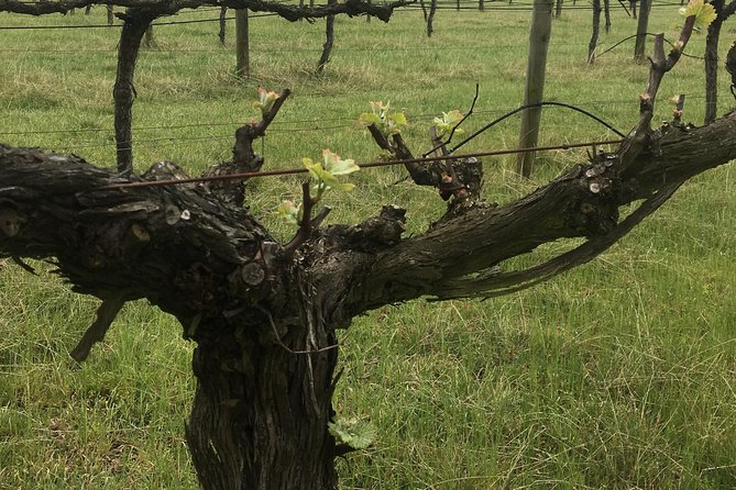 Personalised wine tour experience in the beautiful NSW Southern Highlands - How the flexible day works when you decide with Peter