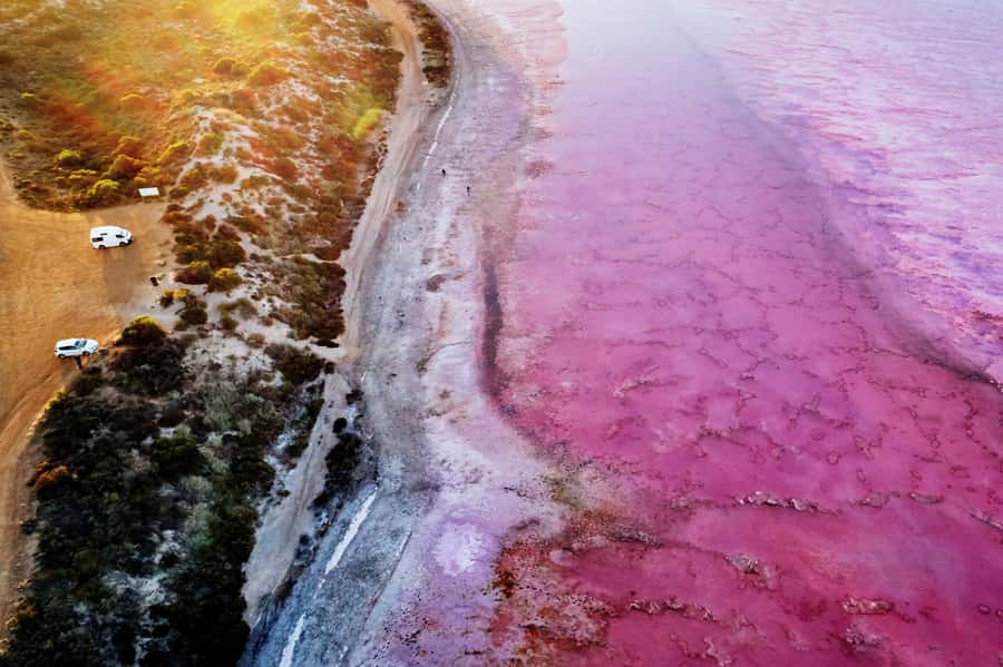Perth: 4-Day Monkey Mia Pink Lake Coastal Loop Comfort Tour - Key highlights you’ll care about