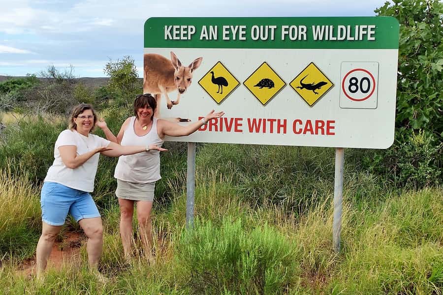Perth: 4-Day Monkey Mia Pink Lake Coastal Loop Comfort Tour - Day 3: Monkey Mia dolphin interaction, Eagle Bluff views, and a seaside night in Geraldton