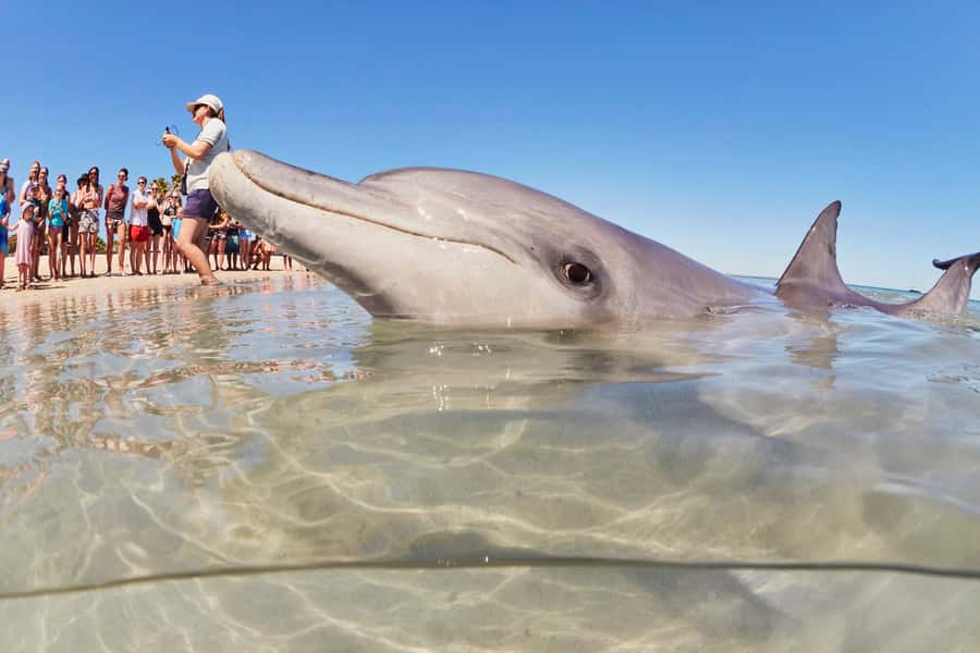 Perth: 7 Day Exmouth Explorer & Ningaloo Reef Return Perth - Exmouth and Cape Range National Park: Turquoise Bay and lighthouse sunsets