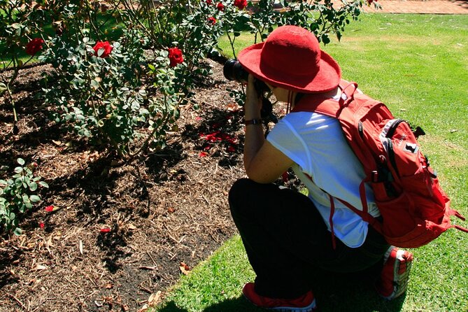 Perth City, Laneways and Hidden Gems Photographic Walk - From parks to Elizabeth Quay: finish with a sense of place