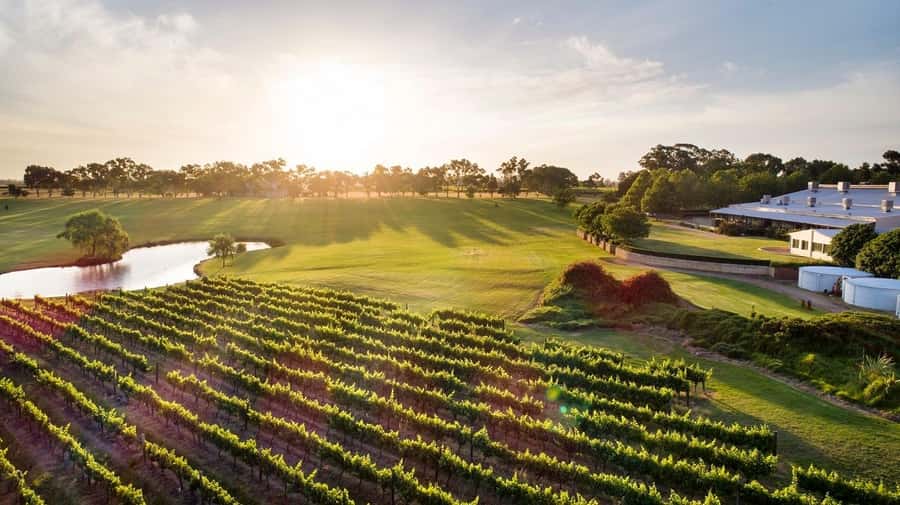 Perth: Full Day Swan Valley Cruise & Wine Tasting With Lunch - From Perth to the boat: check in and get your day started