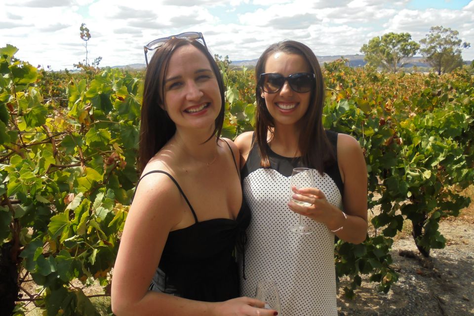 Perth: Full Day Swan Valley Cruise & Wine Tasting With Lunch - Should you book this Swan Valley cruise and tasting day?