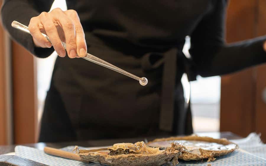 Perth: Harvest Your Own Pearl Experience - Key Highlights You Should Know Before You Go